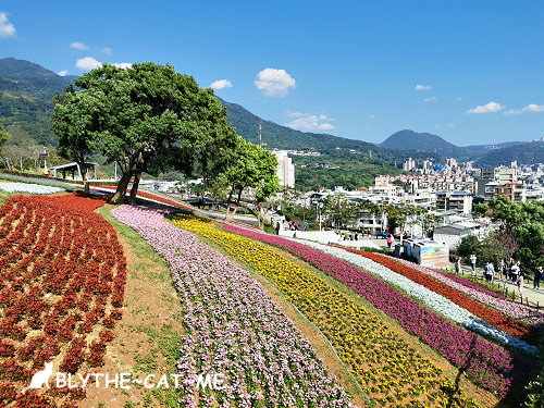 北投社三層崎花海 (18).jpg