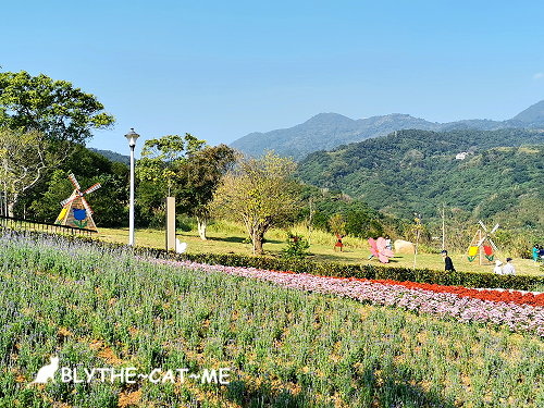 北投社三層崎花海 (37).jpg