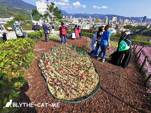 北投社三層崎花海 (42).jpg