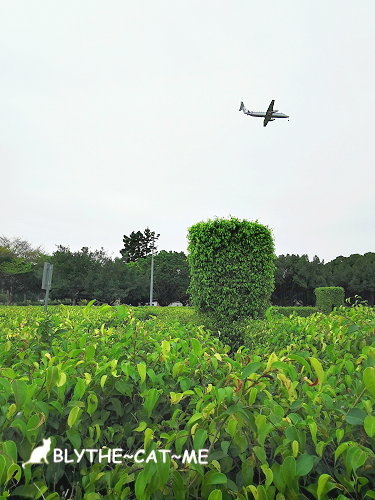 新生公園台北玫瑰展 (100).jpg