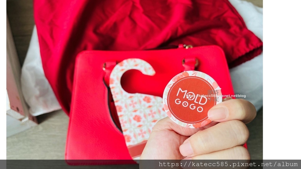 LabAvo MoldGOGO 防霉1) (4).JPG