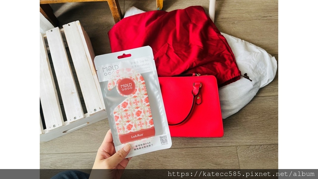 LabAvo MoldGOGO 防霉1) (2).JPG
