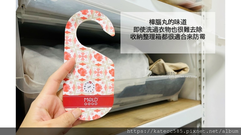 LabAvo MoldGOGO 防霉1) (5).JPG