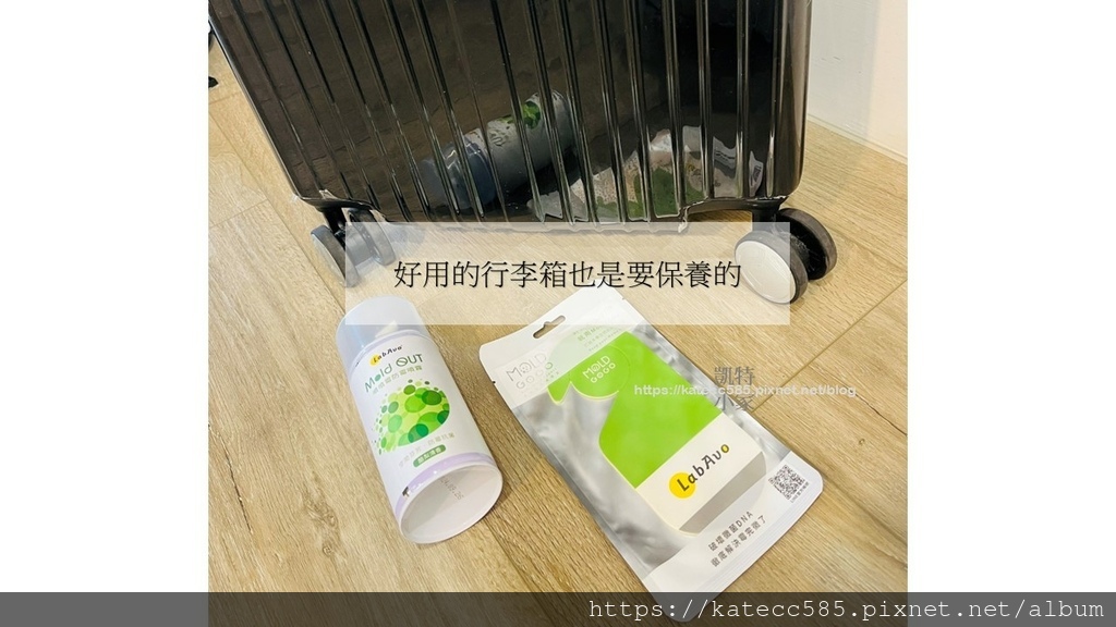 LabAvo MoldGOGO 防霉1) (11).JPG