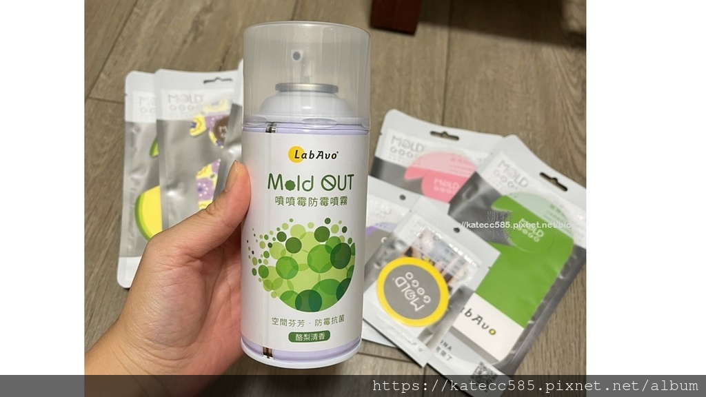 LabAvo MoldGOGO 防霉1) (7).JPG