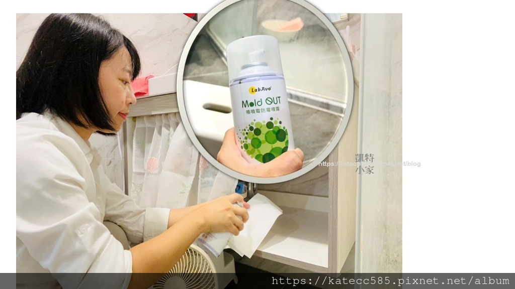 LabAvo MoldGOGO 防霉1) (21).JPG