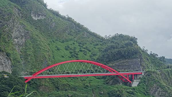 DSC01684-嘉義台18阿里山公路.JPG