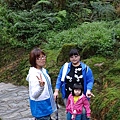 DSC01711-阿里山塔山步道.JPG