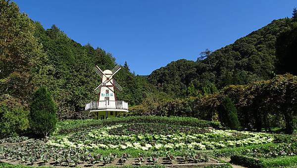 DSC02212-衫林溪藥花園.jpg