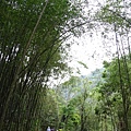 DSC03269-嘉義梅山圓潭自然生態園區.JPG