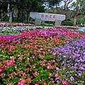 CIMG2110-豐原葫蘆墩公園.jpg