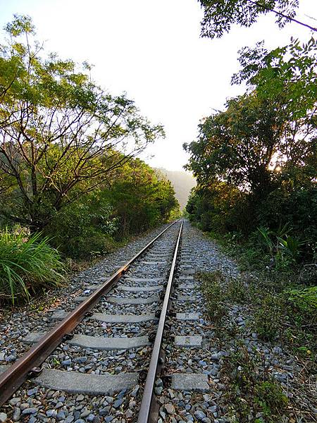 CIMG2654-台中后里舊泰安車站.jpg