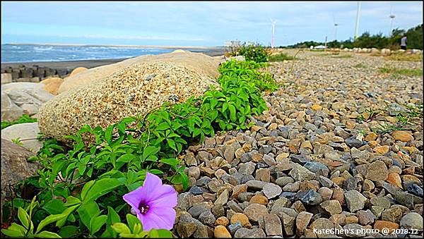 DSCF8335.JPG
