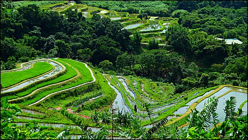 DSCF0886.JPG DSCF0886.JPG