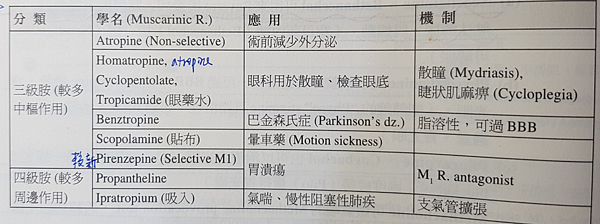 cholinolytics.png