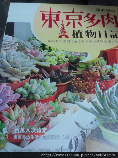 希莉安的東京多肉植物日記 Kate家的後陽台 痞客邦