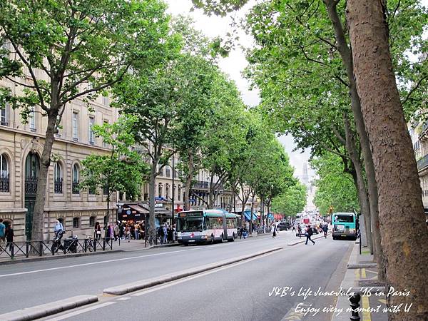 Pomme de pain (4).jpg Pomme de pain (4).jpg