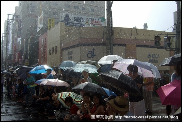 雨傘花