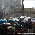 雨傘花