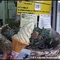 今天一整天我只花錢買了這隻鳳梨口味的冰淇淋