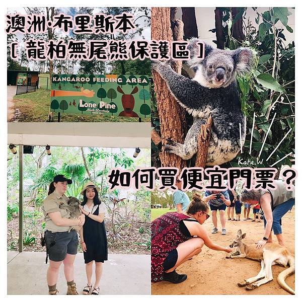 龍柏動物園