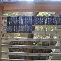 京都燈會+難波相撲 066-1.JPG