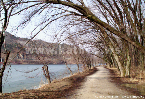 南怡島 / 남이섬