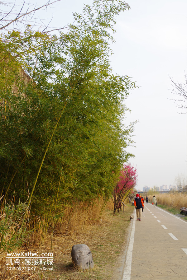 清溪川 清溪川