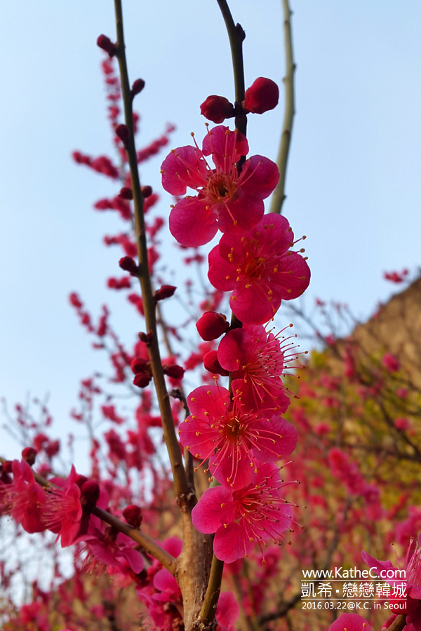 清溪川 清溪川