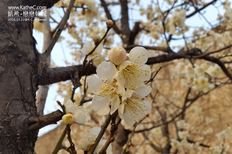 清溪川 清溪川
