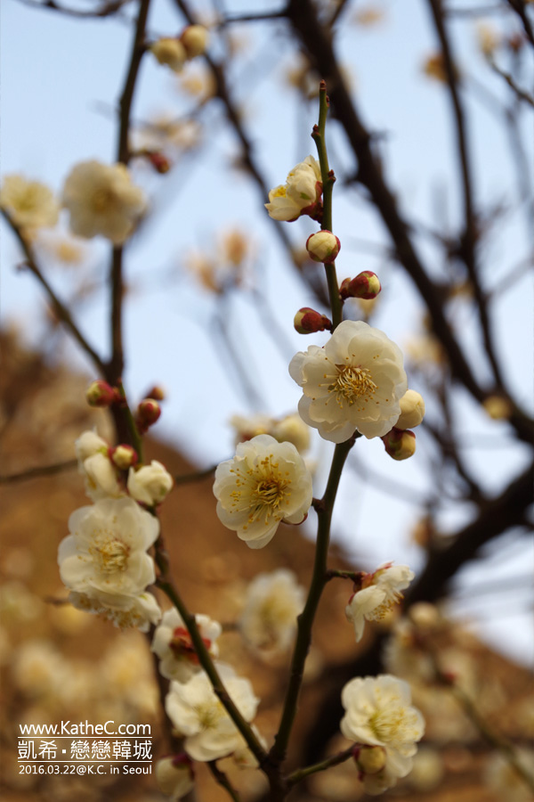 清溪川 清溪川