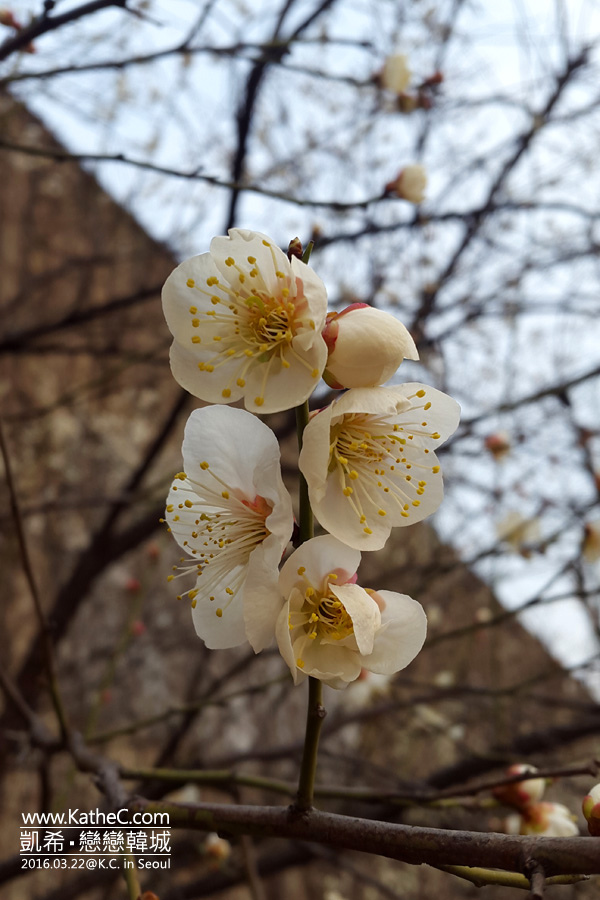 清溪川