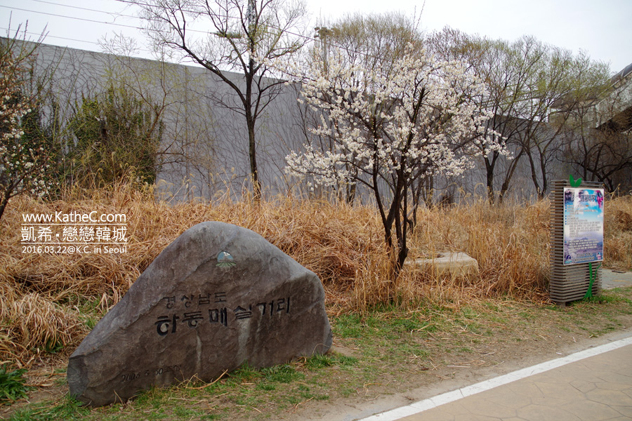 清溪川 清溪川