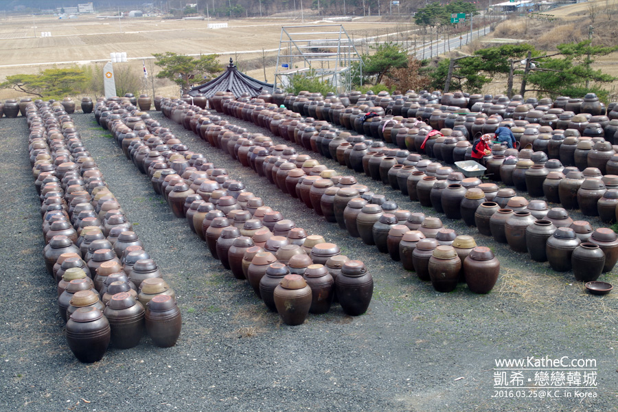 安東河回 安東河回