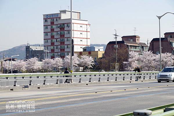 中浪川