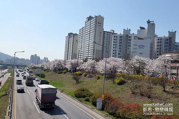 中浪川