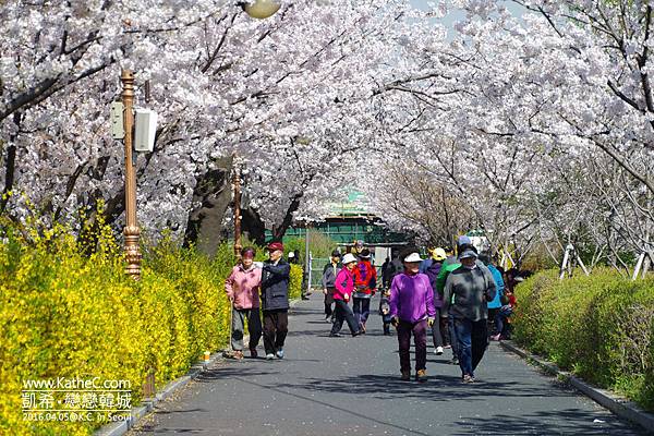 中浪川