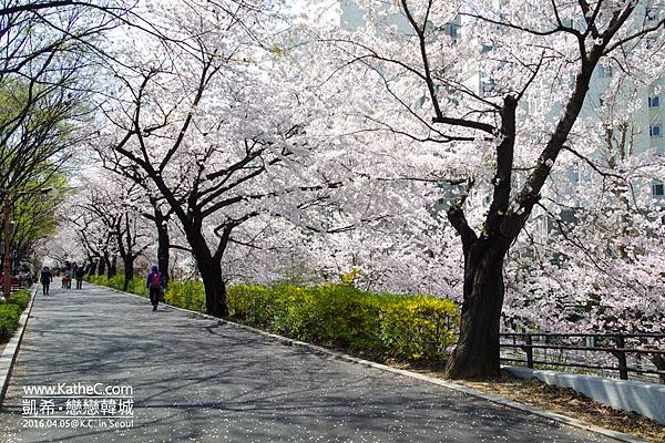 中浪川