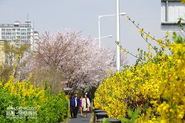 中浪川