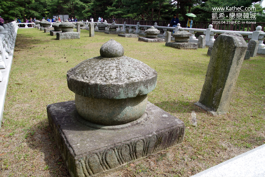 星州 星州