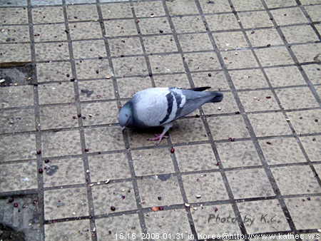 06韓國遊記