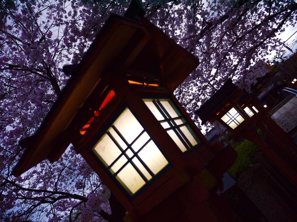 20150401爆開的六孫王神社 (23).jpg