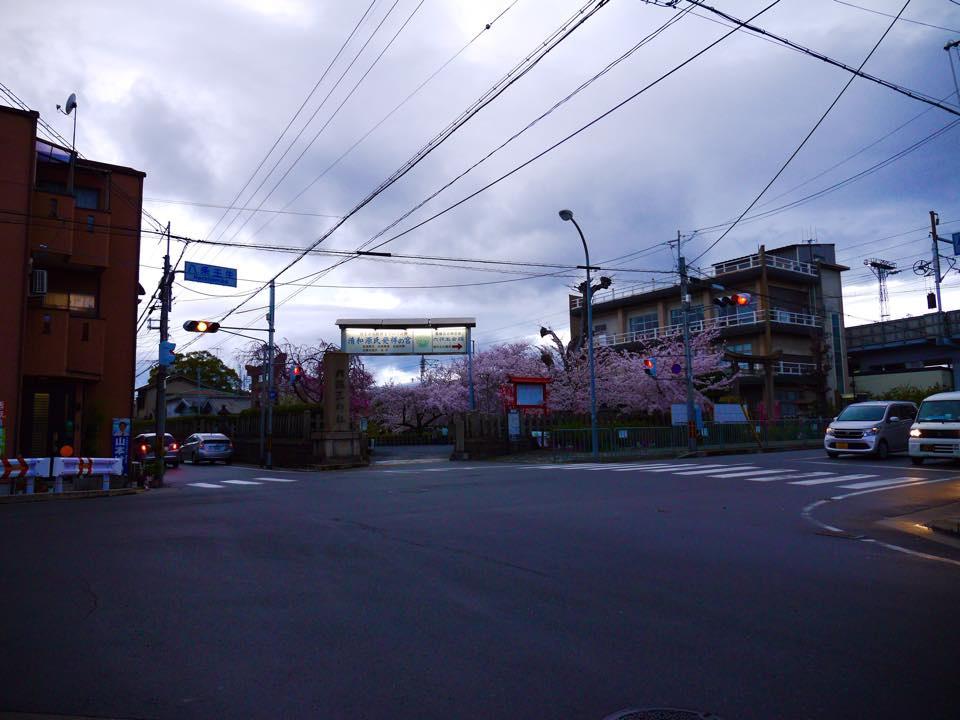 20150401爆開的六孫王神社 (54).jpg