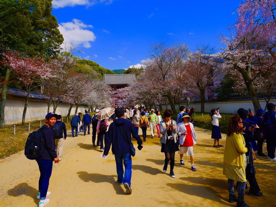 20150402一生中必訪的醍醐寺 (5).jpg