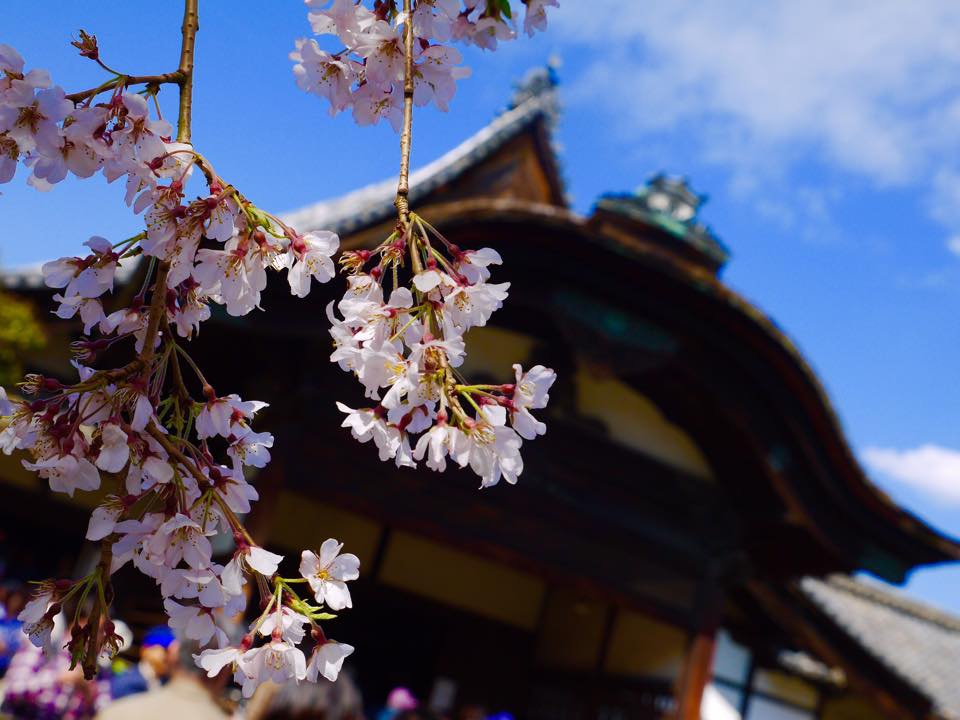 20150402一生中必訪的醍醐寺 (35).jpg