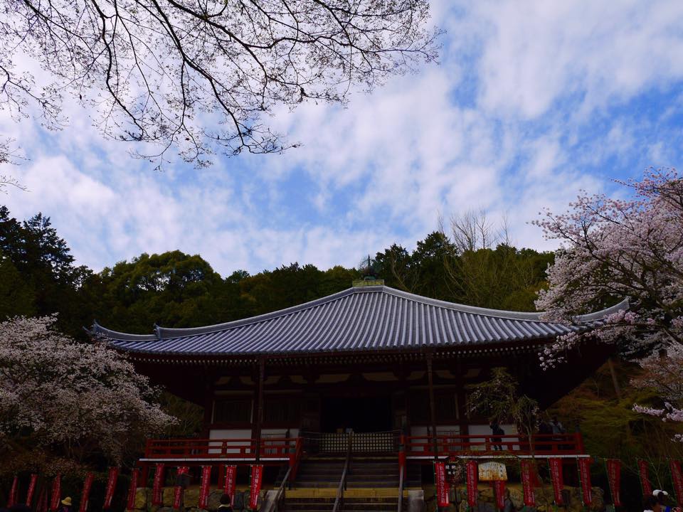 20150402一生中必訪的醍醐寺 (71).jpg