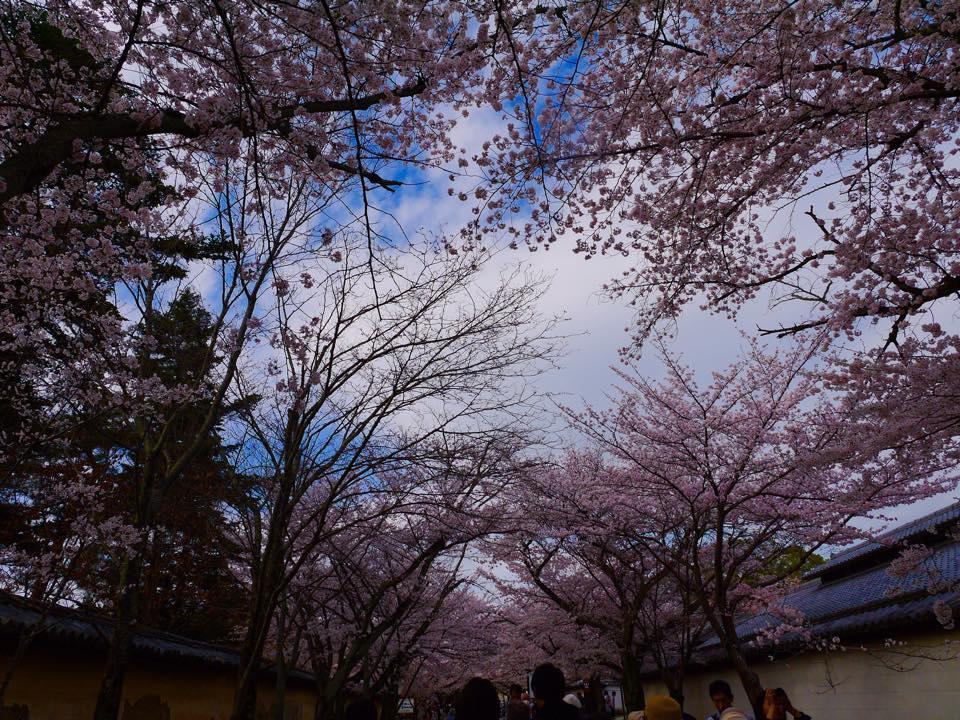 20150402一生中必訪的醍醐寺 (109).jpg