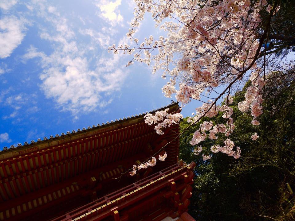 20150402一生中必訪的醍醐寺 (118).jpg