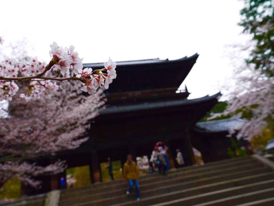 20150403AM南禪寺2.jpg