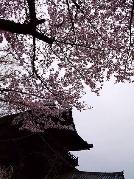 20150403AM南禪寺5.jpg